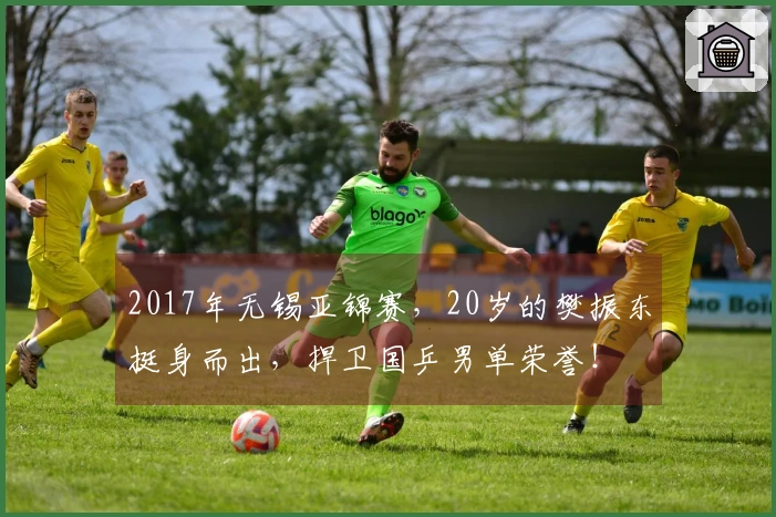 2017年无锡亚锦赛，20岁的樊振东挺身而出，捍卫国乒男单荣誉！