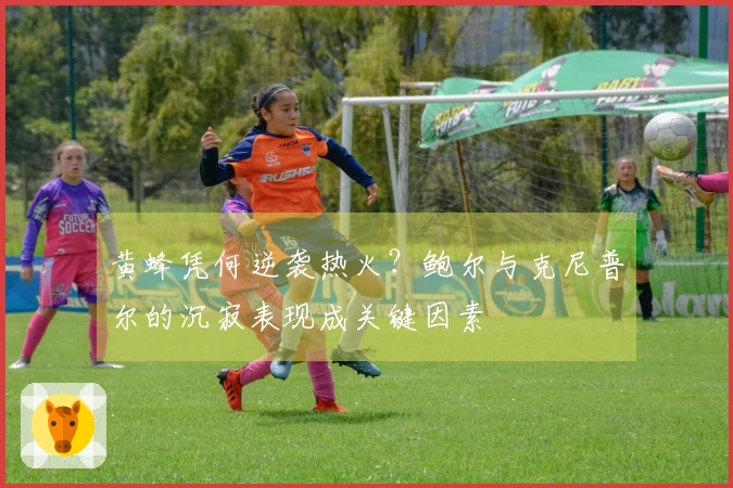 黄蜂凭何逆袭热火？鲍尔与克尼普尔的沉寂表现成关键因素