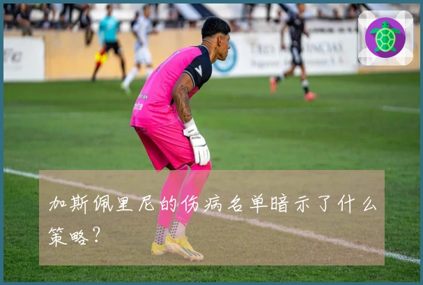加斯佩里尼的伤病名单暗示了什么策略？