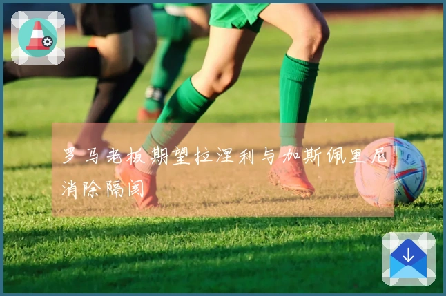 罗马老板期望拉涅利与加斯佩里尼消除隔阂
